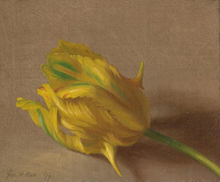 George Henry Hall - Tulip.webp