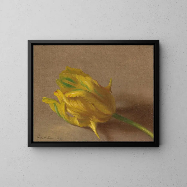Tulpe - George Henry Hall — gerahmtes Bild an der Wand