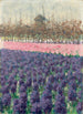 Hyacinths in Holland - George Hitchcock — artwork view