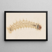 Aquarell-Gemälde der Entomologie Pl032 - George Hudson — gerahmtes Bild an der Wand