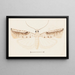 Entomology watercolor Pl156 - George Hudson — framed artwork on a wall