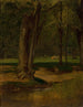 Fluss mit Forellen in North Conway - George Inness — Ansicht des Kunstwerks