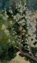 Capri - George Randolph Barse — artwork view