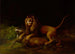 Un leone che attacca un cervo - George Stubbs — vista dell’opera