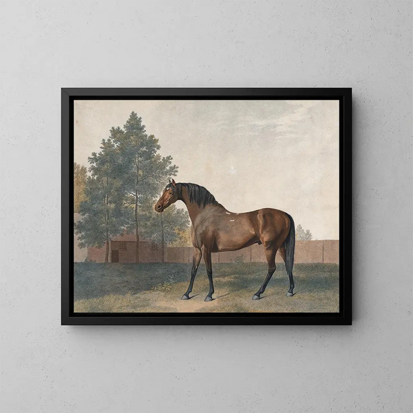 Enclume - George Stubbs — quadro incorniciato alla parete