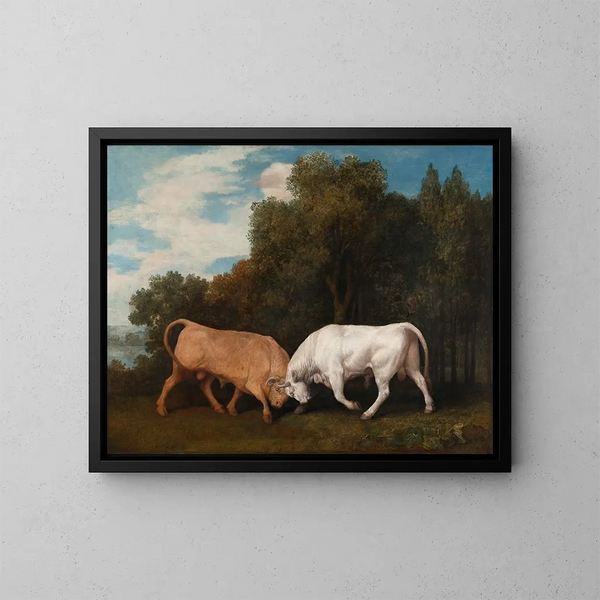 Combat de taureaux - George Stubbs — quadro incorniciato alla parete