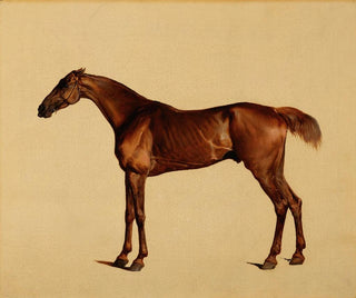 Pangloss - George Stubbs — Ansicht des Kunstwerks