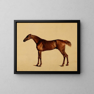 Pangloss - George Stubbs — gerahmtes Bild an der Wand