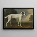Il cane bianco di Visconte Gormanston - George Stubbs — quadro incorniciato alla parete