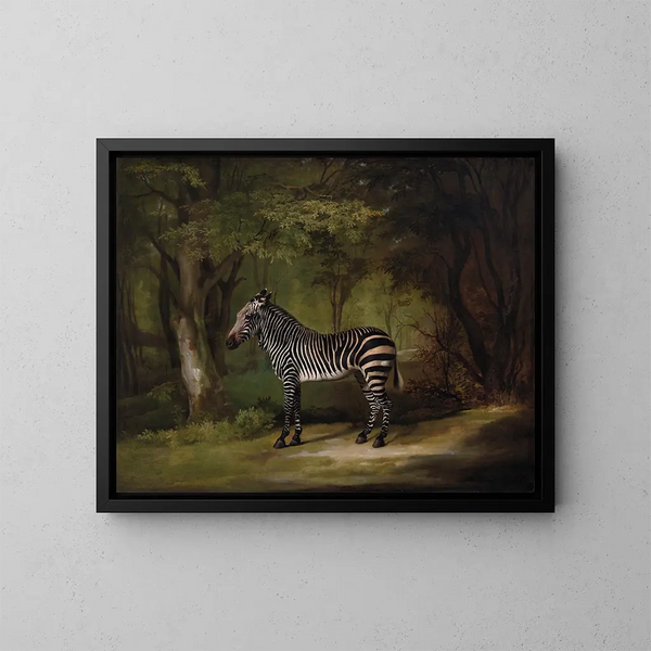 Zèbre - George Stubbs — gerahmtes Bild an der Wand