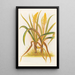 Anthericum Hookeri - Georgina Burne Hetley — framed artwork on a wall