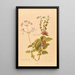 Calceolaria Sinclairii - Georgina Burne Hetley | Painting — framed artwork on a wall