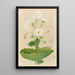 Lys des montagnes - Georgina Burne Hetley — framed artwork on a wall