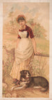 Amis - Gies Co — vista dell’opera