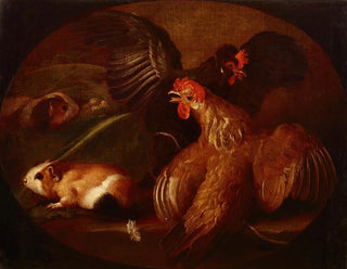 Giovanni Agostino Cassana - Hens and Guinea Pigs.webp