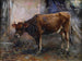 Kuh - Giuseppe Pennasilico — Ansicht des Kunstwerks