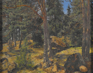 Gottfrid Samuel Nickolaus Kallstenis - A Fir Bank.webp