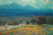 Campo di papaveri californiani - Granville Redmond — vista dell’opera