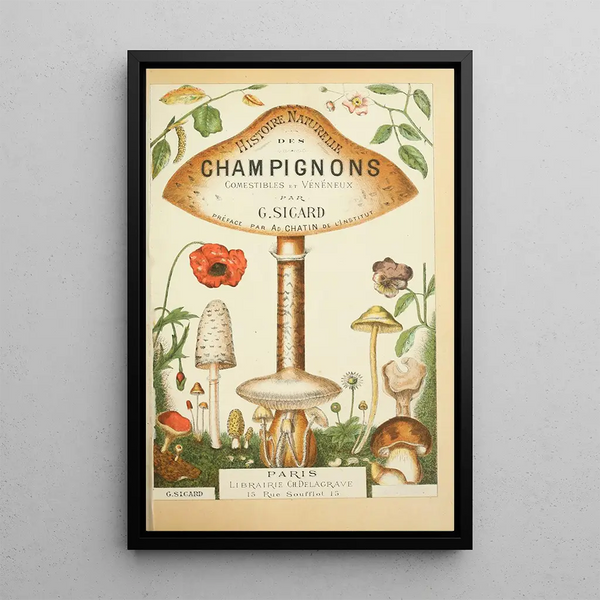 Guillaume Sicard - Histoire naturelle des champignons Pl01.webp