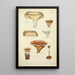 Geschichte der Natur der Pilze Pl58 - Guillaume Sicard — gerahmtes Bild an der Wand