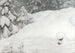Schnee - Gustaf Fjaestad — Ansicht des Kunstwerks