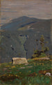 Vue depuis la Hornisgrinde - Gustav Kampmann — vista dell’opera