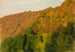 Foresta autunnale nel Brental - Gustav Kampmann — vista dell’opera