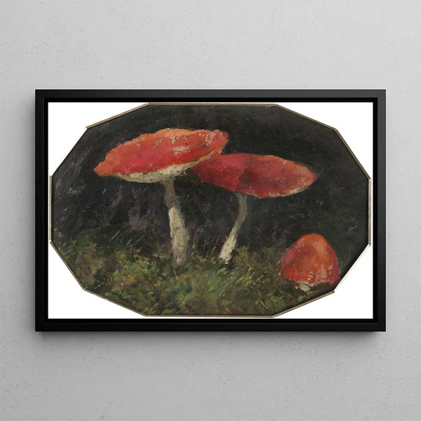 Gustav Macoun - Amanitas.webp