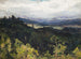 Primavera nelle pendici - Gustav Macoun — vista dell’opera