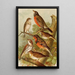 The world of North American birds pl02 - Gustav Mützel — framed artwork on a wall
