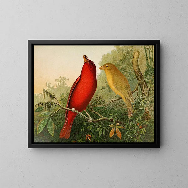 Die nordamerikanische Vogelwelt pl20 - Gustav Mützel — gerahmtes Bild an der Wand