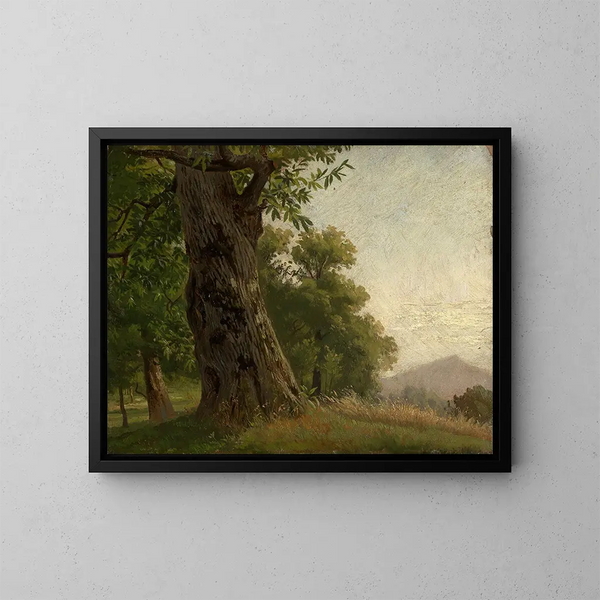 Studio di albero - Gustav Osterroht — quadro incorniciato alla parete