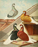 Tumblers barbus anglais - Gustav Prütz — Ansicht des Kunstwerks