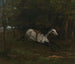 Cavallo in movimento - Gustave Courbet — vista dell’opera