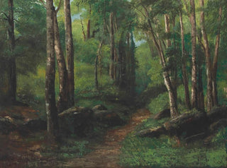 Sentiero attraverso la foresta - Gustave Courbet — vista dell’opera