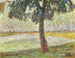Anatre sul Lys - Gustave De Smet — vista dell’opera