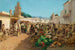 Market scene in Tlemcen, Algeria - Gustavo Simoni — artwork view