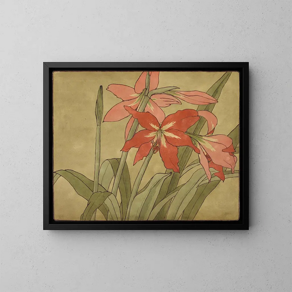 Amaryllis - Hannah Borger Overbeck — gerahmtes Bild an der Wand