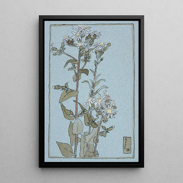Hannah Borger Overbeck - Aster on Green Ground.webp