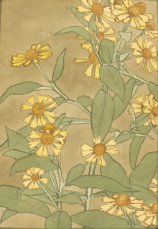 Hannah Borger Overbeck - Daisies with Orange Center and Yellow Petals.webp
