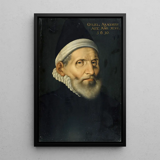 Hans Bock the Elder - Portrait of the Professor of Medicine Wilhelm Aragosius from Toulouse.webp