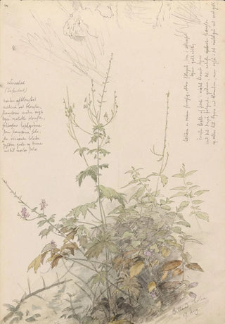 Hans Gude - Tyrihjelm Billerud p Toten.webp