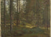 Paesaggio boscoso - Hans Gude — vista dell’opera