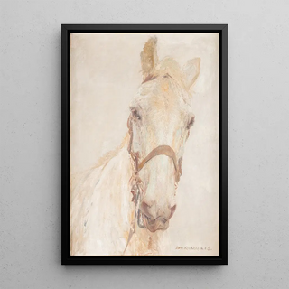 Hans Kohlschein - White horse.webp