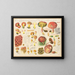 Boletus pierrhuguesii Boletus versicolor - Hans Baldung — quadro incorniciato alla parete