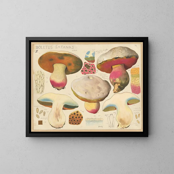 Boletus satanas - Hans Baldung — gerahmtes Bild an der Wand