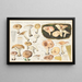 Lactarius musteus, Lactarius trivialis - Hans Baldung — gerahmtes Bild an der Wand