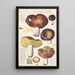 Russula integra L Forma montana - Hans Baldung — framed artwork on a wall