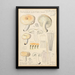 Russula lactea - Hans Baldung — gerahmtes Bild an der Wand