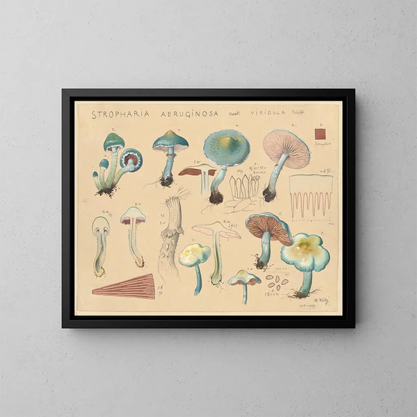 Stropharia aeruginosa var. viridula - Hans Baldung — gerahmtes Bild an der Wand